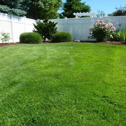Lawn Care